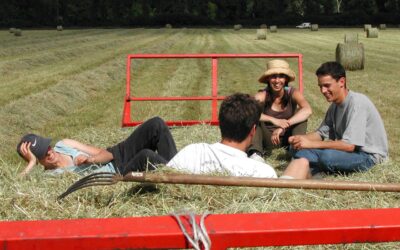 Méditation #1 : S’arrêter avec les disciples