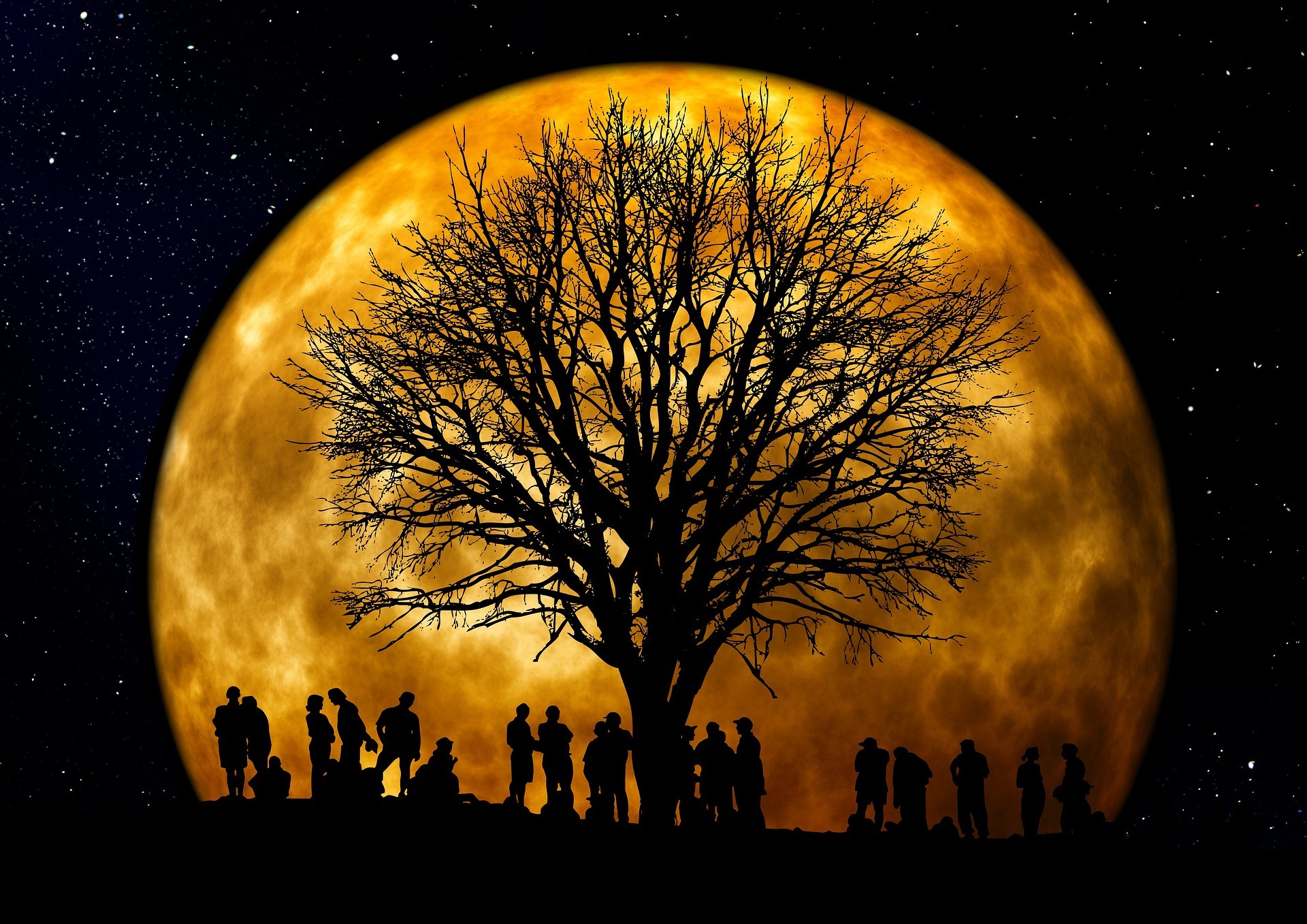 tree-66465_1920