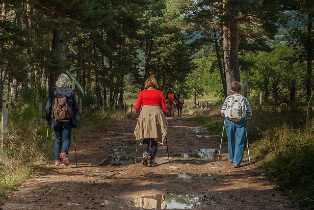 hikers-2713335_640