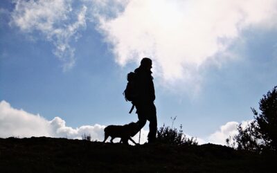 Pour aller plus loin #1 : Tout au long du chemin